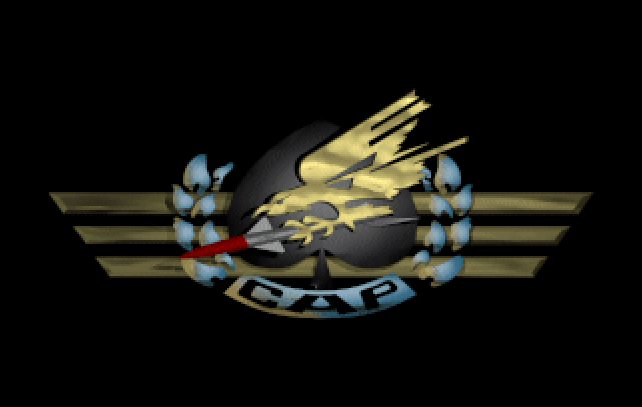 Cover image for Combat Air Patrol