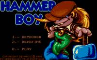 Cover image for Hammer Boy