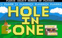 Cover image for Hole-In-One Miniature Golf