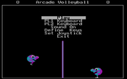 Cover image for Arcade Volleyball