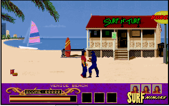 Cover image for Surf Ninjas