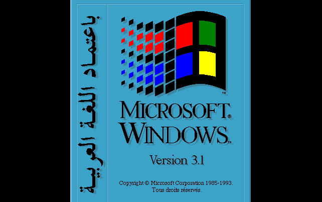 Cover image for Windows 3.1 French