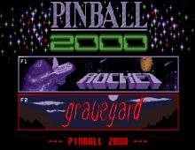 Cover image for Pinball 2000