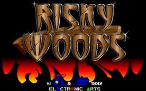 Cover image for Risky Woods