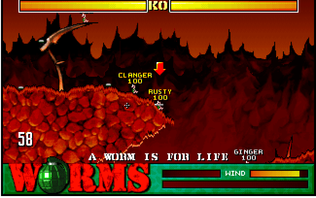 Cover image for Worms